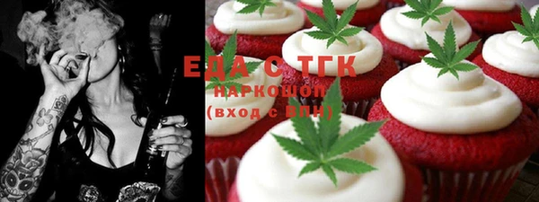 хмурый Сосновый Бор