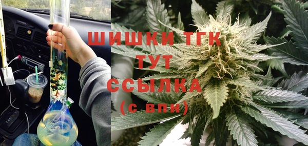 стаф Сосновка