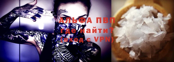 хмурый Сосновый Бор