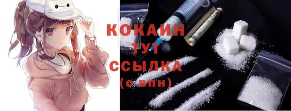 хмурый Сосновый Бор