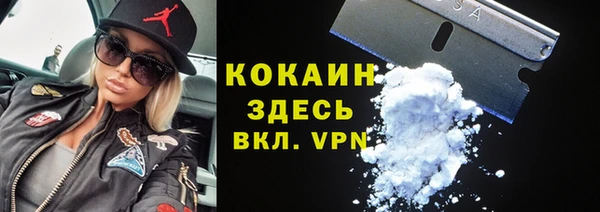 хмурый Сосновый Бор