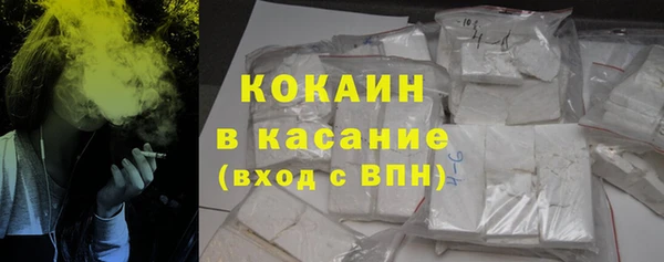 хмурый Сосновый Бор