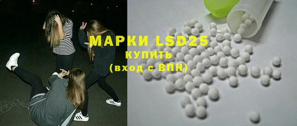 хмурый Сосновый Бор