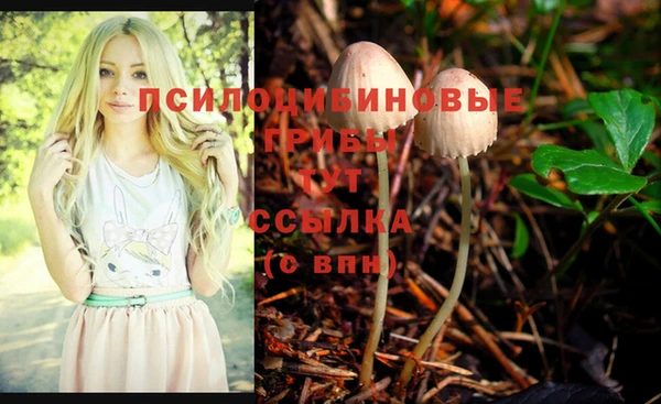 стаф Сосновка