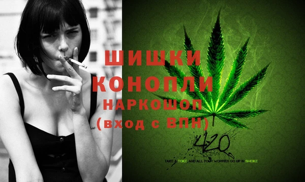 стаф Сосновка