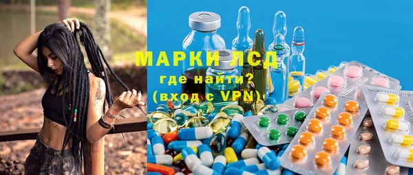 стаф Сосновка