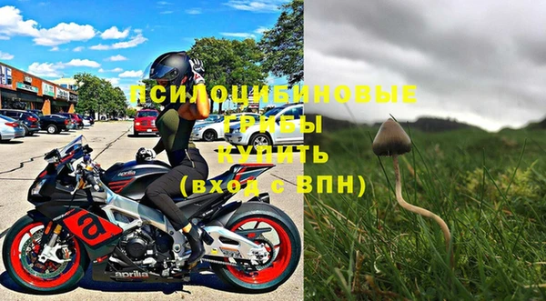 стаф Сосновка