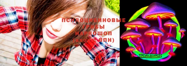 хмурый Сосновый Бор