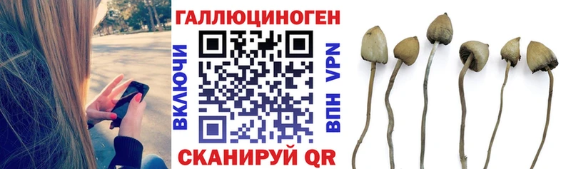 Галлюциногенные грибы прущие грибы  где можно купить   Димитровград 